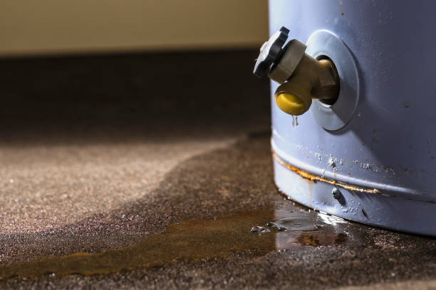 Best Water damage restoration company  in Trinity, AL
