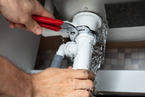 Best Ceiling water damage repair  in Trinity, AL