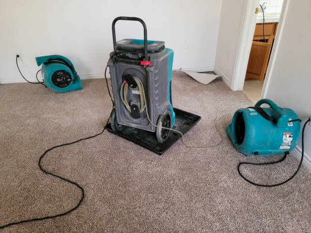 Best 24-hour water damage restoration  in Trinity, AL