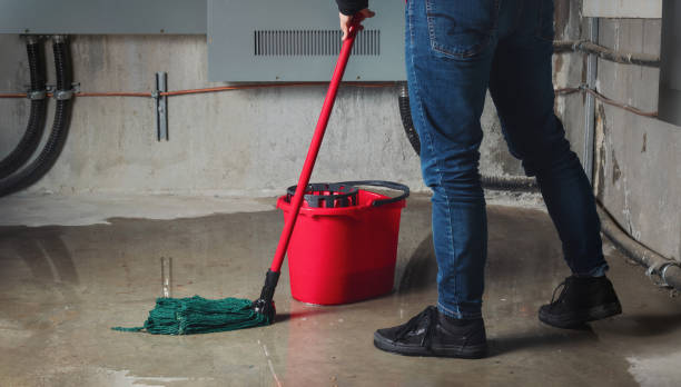 Best Water damage restoration near me  in Trinity, AL