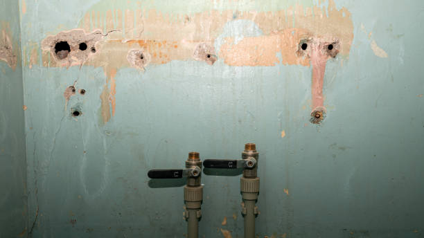 Water damage restoration experts in AL