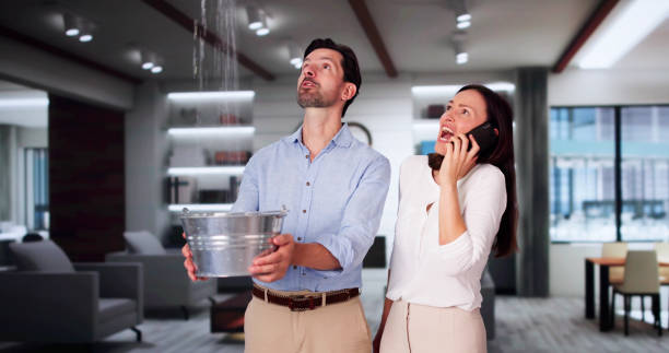 Best Fire Damage Restoration  in Trinity, AL